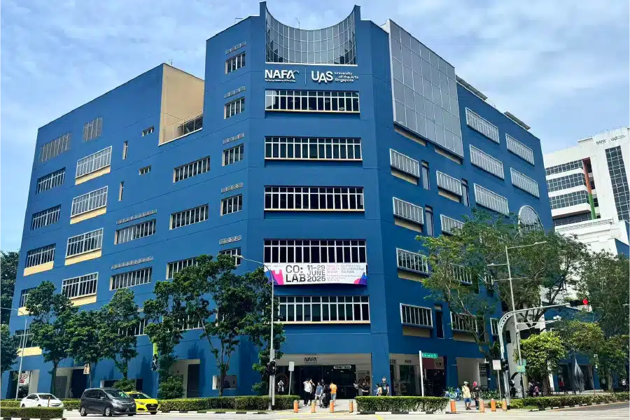 Nanyang Academy of Fine Arts (NAFA)
